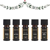 Duftöl Set XMAS 5x 10ml - Adventszauber, Bratapfel, Lebkuchen, Vanille & Zimt-Orange | Weihnachtsöl - Weihnachtsduft | Parfümöle & ätherisches Öl für Aromatherapie, Duftlampen, Diffuser