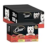 Cesar Nassfutter für Hunde, Auswahl der Klassiker in Pastete, Multipack (3 x 8 Becher x 150 g)