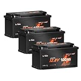 LiTime 3Pack 12V 100Ah LiFePO4 Wohnmobil Batterie mit Bluetooth & 100A BMS, Tieftemperaturschutz, 4000-15000 Zyklen, 20.48kWh, Blei-Säure-Ersatz, perfekt für RVs, Wohnwagen, Camping, Solaranlage