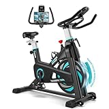 Heimtrainer Fahrrad mit Magnetwiderstand für Zuhause, Riksion Ergometer Hometrainer mit LCD-Monitor und Tablet-Ständer, FitnessFahrrad bis 160 kg Belastbar, Trainingsgeräte für Das Ausdauertraining