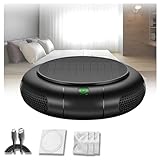 Wizvox Ionisator Luftreiniger, 2 In 1 Auto Duft Diffusor, Mit Hepa-Filtration System Und Solar Aufladen, Beseitigt 99,97% Staub, Rauch Und Allergene (Mit 2 Filterelementen)