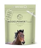 Annimally Muskelaufbau Pulver für Pferde 2kg mit Sojaprotein, Lysin, Carnitin, Threonin, Methionin - Amino Zusatzfutter für die Stärkung der Muskulatur beim Pferd - Alternative zu Liquid