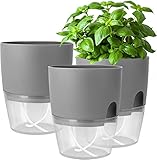 iDattel Kräutertopf Küche Set,Blumentopf Fensterbank selbstbewässernd-3er Set Kräutergarten für die Küche,18.2X 11x 15.3 cm, für frische Küchenkräuter, Grau