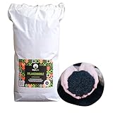 Pflanzenkohle (Reine Biokohle - Biochar) | natürlicher Bodenverbesserer für Garten, Balkon, Trenntoilette, Tierstall & Terra Preta (7kg Pflanzenkohle)