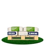 Schattenrasen-Grassamen - Grassamen Schatten - Grassamen Schnell Keimend - Organifer Elegant - Schattengrassamen - Nak-Zertifiziert - Sehr Hohe Schatten- Und Trockenheitstoleranz - Organifer (150 kg)
