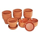 VBS Blumentopf TERRAKOTTA mit Untersetzer 10 Paar hochwertig langlebig Tontöpfe mit Bodenloch Pflanztopf Pflanzkübel Töpfe Tontopf Sukkulenten Anzuchttöpfe DIY Ø 8 cm