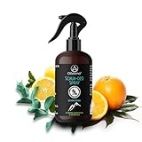 OLLEENO® Schuhdeo Spray gegen Gerüch (250 ML) – Natürliches Schuhspray mit extra starker Wirkung Lang anhaltende Frische mit Zitronen-Eukalyptus & Süßorange