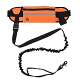 Freihändige Hundeleine, Hüftleine mit Abnehmbarer Tasche, reflektierende Laufleine für Hunde, Verstellbarer Hüftgurt, freihändiges Gehen, Joggen, orange-rotes Nylon-Polyester (Orange)