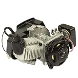 Pocket Bike Motor 49ccm mit Vergaser Dirt Bike ATV Mini Quad Kinderquad Motoren 3,5 PS (49ccm)