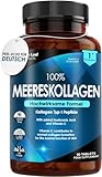 Reines Marine Collagen, 100% Meereskollagen Typ 1, 1470 mg - Hydrolysierte Collagen Peptide, Hochwirksames Kollagen mit Vitamin C & Hyaluronsäure - Kollagenpräparate für Frauen & Männer, 60 Tabletten