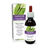 Spitzwegerich oder Lungenblattl (Plantago lanceolata) Blätter Alkoholfreier Urtinktur Naturalma - Flüssig-Extrakt Tropfen 120 ml - Nahrungsergänzungsmittel - Veganer