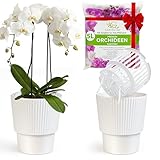 Garten lux 2er-Set Selbstbewässerungstöpfe für Orchideen–Weiß, Ø16cm, Orchideentopf 2,7L (Innentopf 1,9L Drainagelöchern mit Docht)+5L Orchideensubstrat für alle Orchideenarten für den Innenbereich