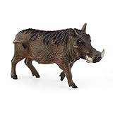 schleich 14843 Warzenschwein, für Kinder ab 3+ Jahren, WILD LIFE - Spielfigur