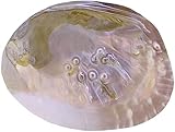 Echte Perlmutt Muschel mit Perle, Muschel Deko, Muschel Schale, Seifenschale Muschel, Schmuckschale oder Räucherschale (1 Hälfte)