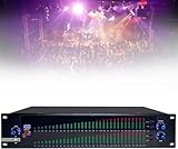 Professioneller Dual-31-Band-Digital-Equalizer, Spektrum-intelligenter Rauschunterdrückungs-Tuning-Effekt, verwendet für Heim-K-Song/KTV/Bar/Bühne (888S)