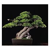 Künstliche Pflanzen, künstlicher Baum, Bonsai, künstliche Topfpflanze für den Innenbereich, Grünpflanze, Dekoration, chinesische Innendekoration, künstlicher Baum mit Keramik-Blumentopf, künstliche