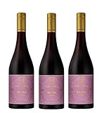 3x 0,75l - 2020er - Castel Sallegg - Merlot - Riserva - Alto Adige D.O.P. - Südtirol - Italien - Rotwein trocken