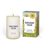 Homesick Premium-Duftkerze, Sonnenblumenfelder – Düfte von gelben Dahlien, Sonnenblume, durchscheinendem Moschus, 390 g, 60–80 Stunden Brenndauer, Geschenke, Soja-Mischung, Kerze, Heimdekoration,