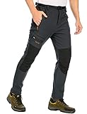DAFENP Herren Wanderhose Skihose Wasserdicht Softshellhose Winddicht Winter Outdoorhose Snowboardhose Warm Gefüttert Trekkinghose KZ1635M-DarkGrey-L