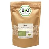Bio Weizenkeime 500g - vegan, ungeröstet, fettreduziert, schonend hergestellt und per Hand abgefüllt von my-mosaik (500g)