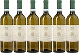 Cascina Carlòt Saròt Langhe DOC 2023 Trocken (6 x 0.75 l)