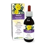 Erd-Burzeldorn (Tribulus terrestris) Früchte Alkoholfreier Urtinktur Naturalma | Flüssig-Extrakt Tropfen 120 ml | Nahrungsergänzungsmittel | Veganer