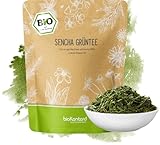 Sencha Tee BIO 500 g I lose und geschnitten I aromatischer bio Sencha Grüntee I 100% natürlich I bioKontor