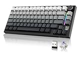 YINDIAO Attack Shark X820 Ultra Gasket Mechanische Tastatur mit TFT-Bildschirm und Knopf, 75% ANSI-Layout, 2,4 GHz/BT/Wired, 5 Sound-Absorbing Foams, Hot-Swap, für PC, MAC (Mondlicht, Gift Switch)