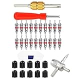 Arecobticy 33-teiliges Reifenventil-Entferner, ergonomischer Griff, Reifenkerne, Ersatz für Auto, Motorrad, Fahrrad, Wartung, starke Reifenventile, Kerne, Werkzeug-Set