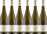 Wein- und Sektgut Braun Scheurebe 2023 Trocken (6 x 0.75 l)