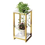 Robuster Pflanzenständer aus goldfarbenem Metall, 2 Etagen, für den Innenbereich, geschichtete Eckregale, quadratischer Pflanztisch, 30 x 30 x 57 cm, für Heimdekoration und Garten
