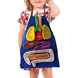 yybng Anatomie Schürze Spielzeug | Realistisches Lernwerkzeug Für Die Sinnesförderung - Pädagogisches Werkzeug Und Spielzeug - für Kinder Mädchen Klassenzimmer Schule Vorschule