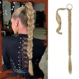Sofeiyan Braid Extensions Pferdeschwanz Verlängerung mit Haargummi 66cm Lange Geflochtener Ponytail Verlängerung Aschblond Natürliches Haarverlängerung Synthetisches Zopf Haarteil für Damen