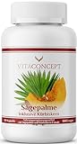 VITACONCEPT | Sägepalme und Kürbiskern (5% Phytosterole) | 500 mg pro Kapsel | 120 hochdosierte Kapseln | Sägepalmenextrakt + Kürbiskernextrakt | laborgeprüft | Made in Germany