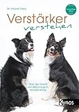 Verstärker verstehen: Über den Einsatz von Belohnung im Hundetraining