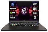MSI Vector 17 HX, Gaming Laptop, 17,0' QHD+, Intel® Core™ i9 Prozessor 14900HX, 32 GB DDR5-5200 RAM, 1 TB, NVIDIA® GeForce RTX™ 4080, Windows 11 Home, QWERTZ Tastatur, A14VHG-1012