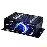 12V 400W Aluminium HiFi Audio Verstärker Auto Stereo Mini Power Amplifier, Stereo-Audioverstärker für Heimautos, Motorräder