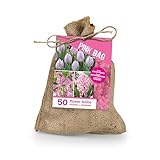 Bloomique – 50er-Mix – Die rosa Tüte – Rosa Mix – Tulpen, Hyazinthen, Allium – Blumenzwiebeln – Frühlingsblüher – Mehrjährige Pflanzen
