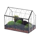 NCYP 24x14x18,5cm Glas Terrarium mit Deckel, Innenbereich Vintage Geschlossene Hausform kleine Gewächshausbox, Schwarz Geometrische Dekoration für kleine Sukkulenten, Kakteen (Nur Terrarium)