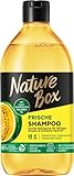 Nature Box Shampoo Frische (385 ml), Shampoo für fettigen Ansatz & trockene Spitzen, Haarshampoo mit kaltgepresstem Melonen-Öl, Flasche aus 100 % recyceltem Social Plastic