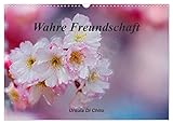 Wahre Freundschaft (Wandkalender 2025 DIN A3 quer), CALVENDO Monatskalender