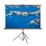 XQJLBZA Tragbare 60-Zoll-4K-HD-Projektionsleinwand mit Stativ, manuell Rollo-Leinwand für den Innen- und Außenbereich, für Heimkino- oder Büropräsentationen