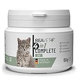 ReaVET 4in1 Complete Cat - Natürliche Rundumversorgung für Katzen für 2 Monate, Vitamine für Katzen, Aktiviert Abwehrkräfte, Stärkt Immunsystem, Gelenke & Magen-Darm, mit Taurin