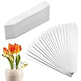 200 Stk Pflanzenschilder,Pflanzenschilder Zum Beschriften,Pflanzschilder,Beschriftungsschilder,Pflanzenetiketten,Pflanzenstecker,Plastik Pflanzschilder für Draussen Wetterfest,10x2CM