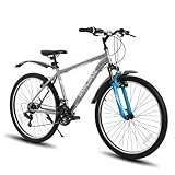 Hiland 29 Zoll Mountainbike, 21-Gang Doppel V-Bremsen MTB, Mountainbike für Erwachsene Männer Frauen Grau
