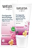 WELEDA Bio Nachtkerze Festigende Nachtpflege, vitaminreiche Pflegecreme für reife Haut im Gesicht, Gesichtscreme glättet, revitalisiert und verleiht Spannkraft (1 x 30 ml) Revitalisierende Nachtkerze