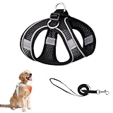 Katzengeschirr und Leine, Metallring, verstellbar, weich reflektierend, gestreift, ausbruchsicher, weiches Netzgewebe, Geschirr und Leine für kleine und mittelgroße Katzen, Haustiere (Schwarz, XS)