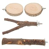 Gatuida 1 Set Vogelständer aus Holz: Plattformständer für Papageien aus Holz – solide Sitzstangen mit Mehreren Zweigen und Schaukelspielzeug für den Käfig – Schleifstäbe für Badeklauen