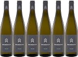 Weinreich Riesling 2023 Trocken Bio (6 x 0.75 l)