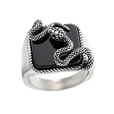 Sinoyp Siegelring aus Edelstahl – Herren-Gothic-Biker-Schmuck, Zirkon